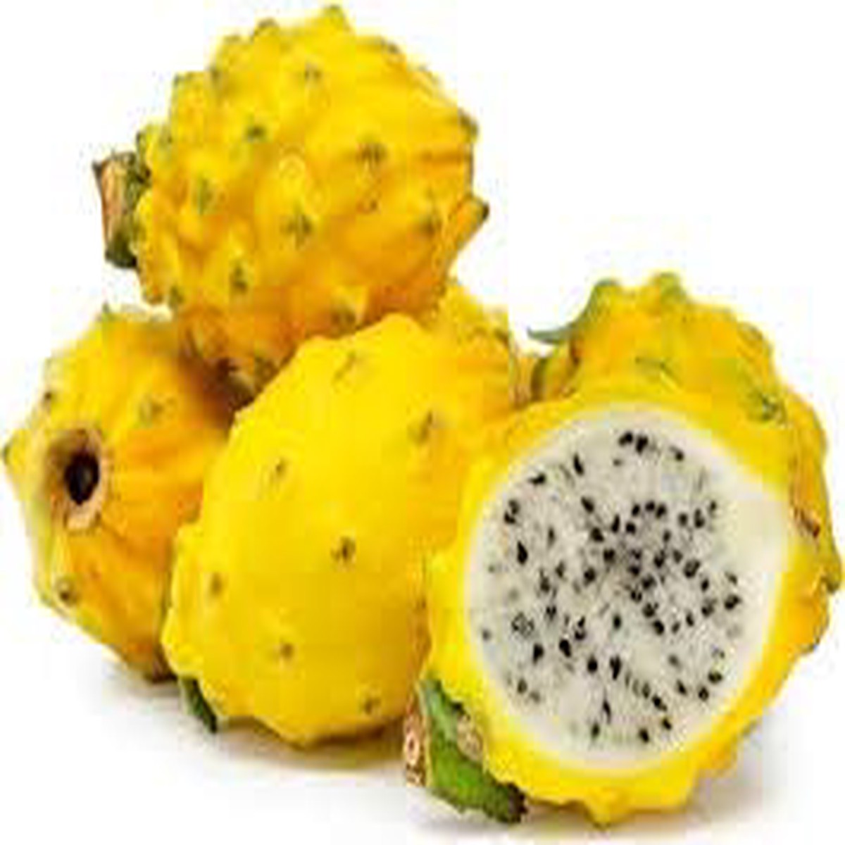 Yellow Pitaya Fruit Seeds for Planting Heirloom, Non-GMO Seeds for Bright and Colorful Home Gardens