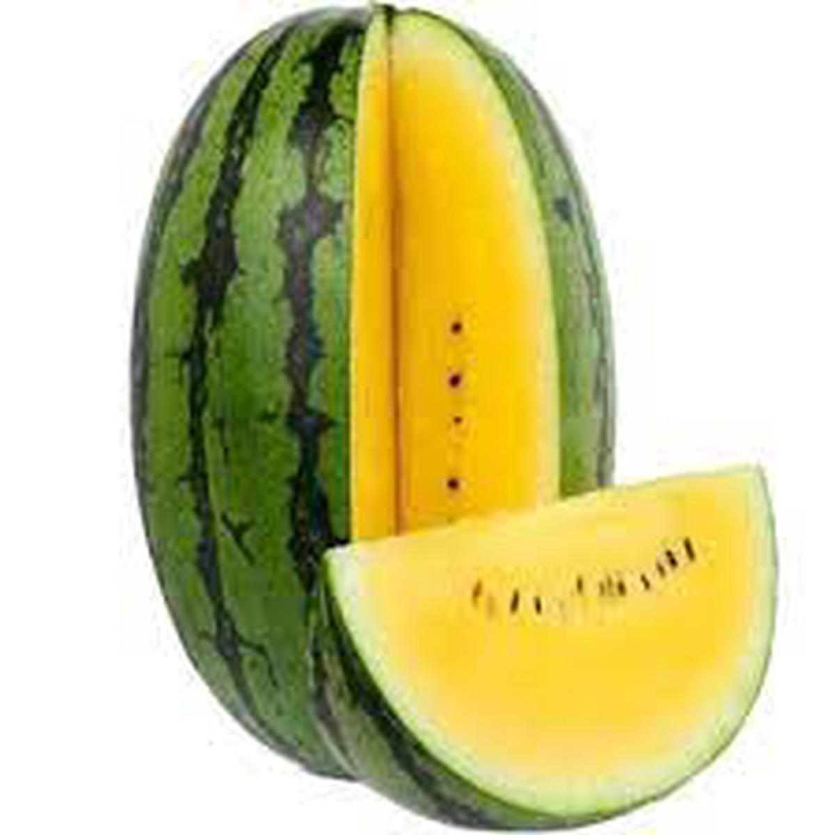 Yellow Watermelon Fruit Seeds for Planting  Heirloom Non-GMO, High Germination Organic Garden Seeds
