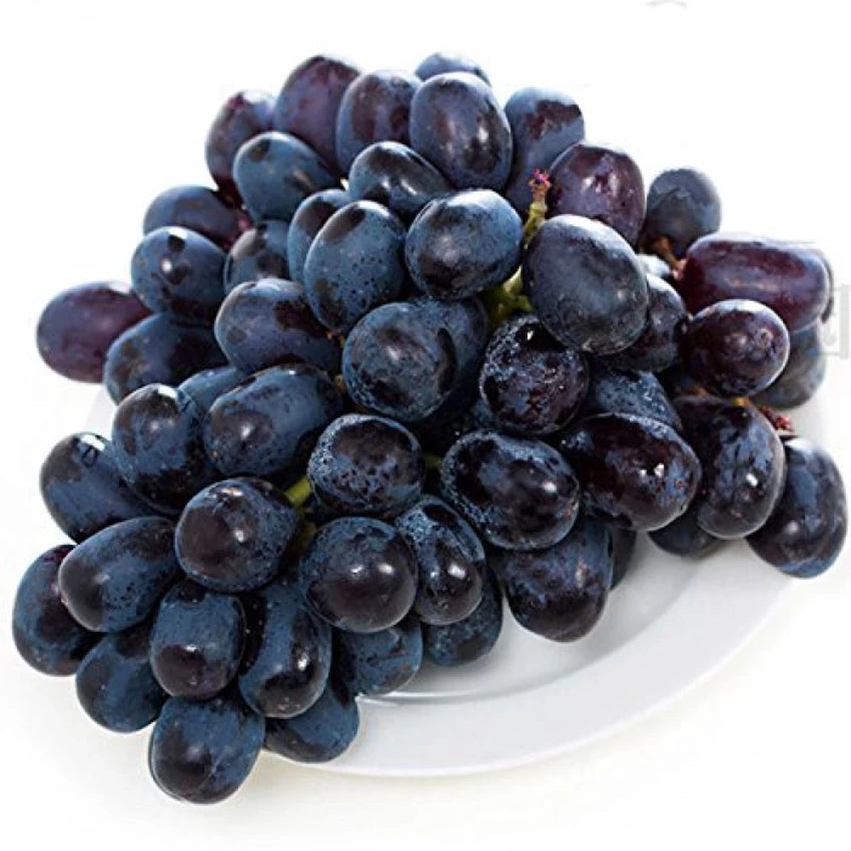 Actinidia Polygama Jaboticaba Black Brazilian Grape Fruit Seeds for Planting  Heirloom Non-GMO High Germination Seeds