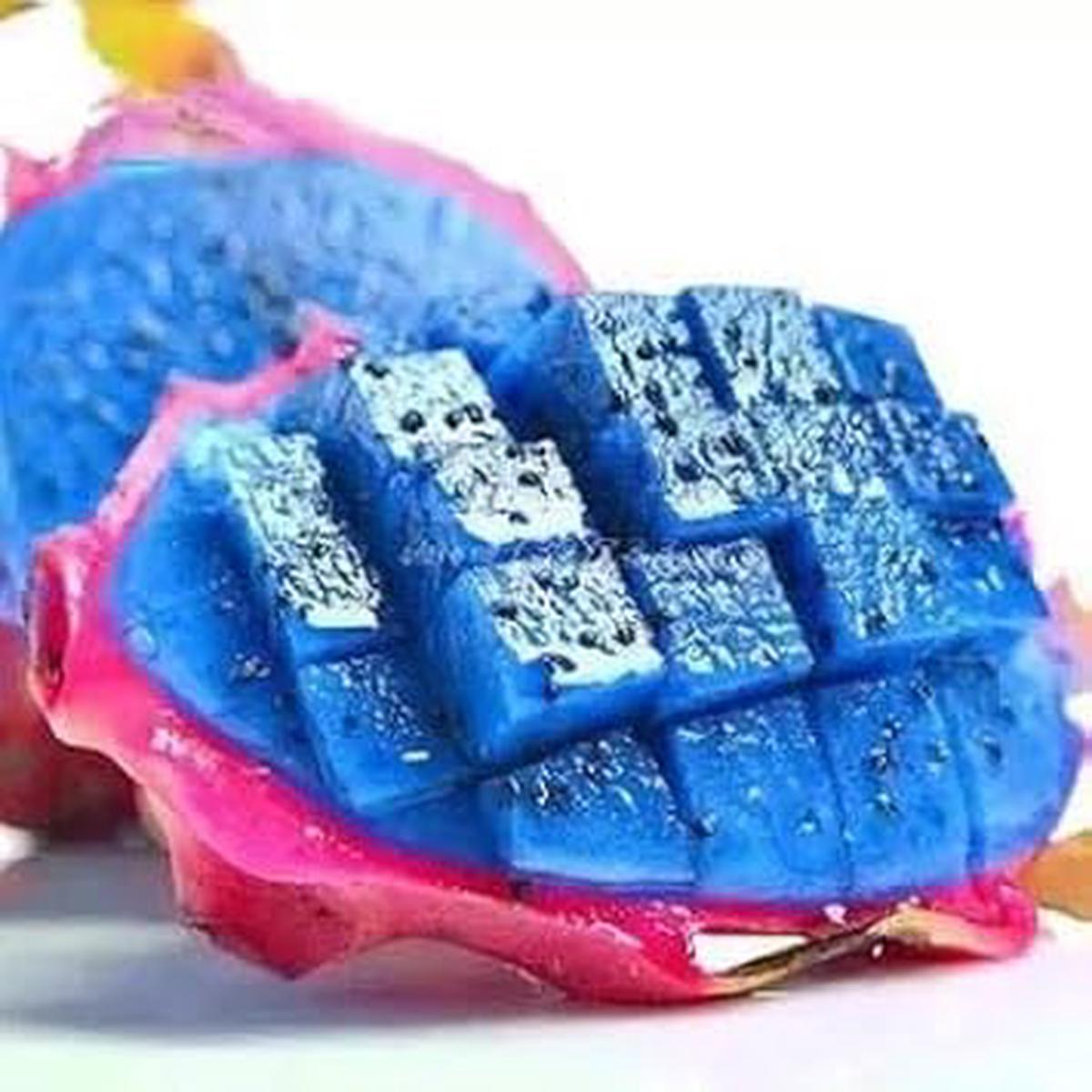 Blue Pitaya Fruit Seeds Easy to Grow, Heirloom & Non-GMO Dragon Fruit Seeds for Home Gardens