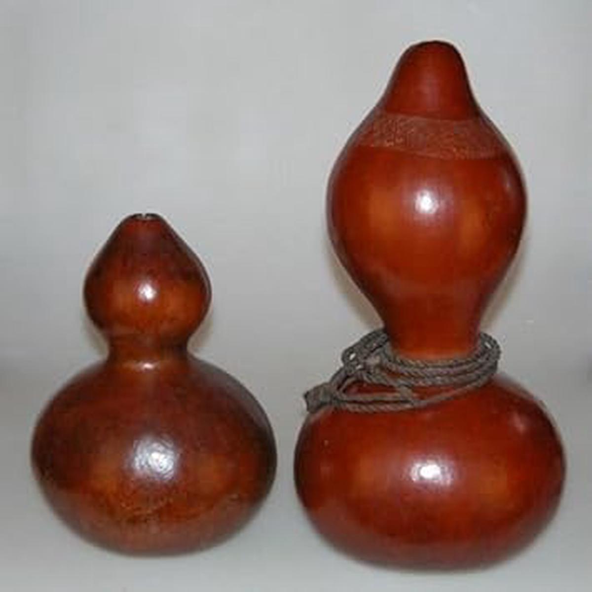 Brown Gourd Calabash Bottle Seeds for Planting  Unique Garden Decor & Utility, Heirloom & Non-GMO, High Germination