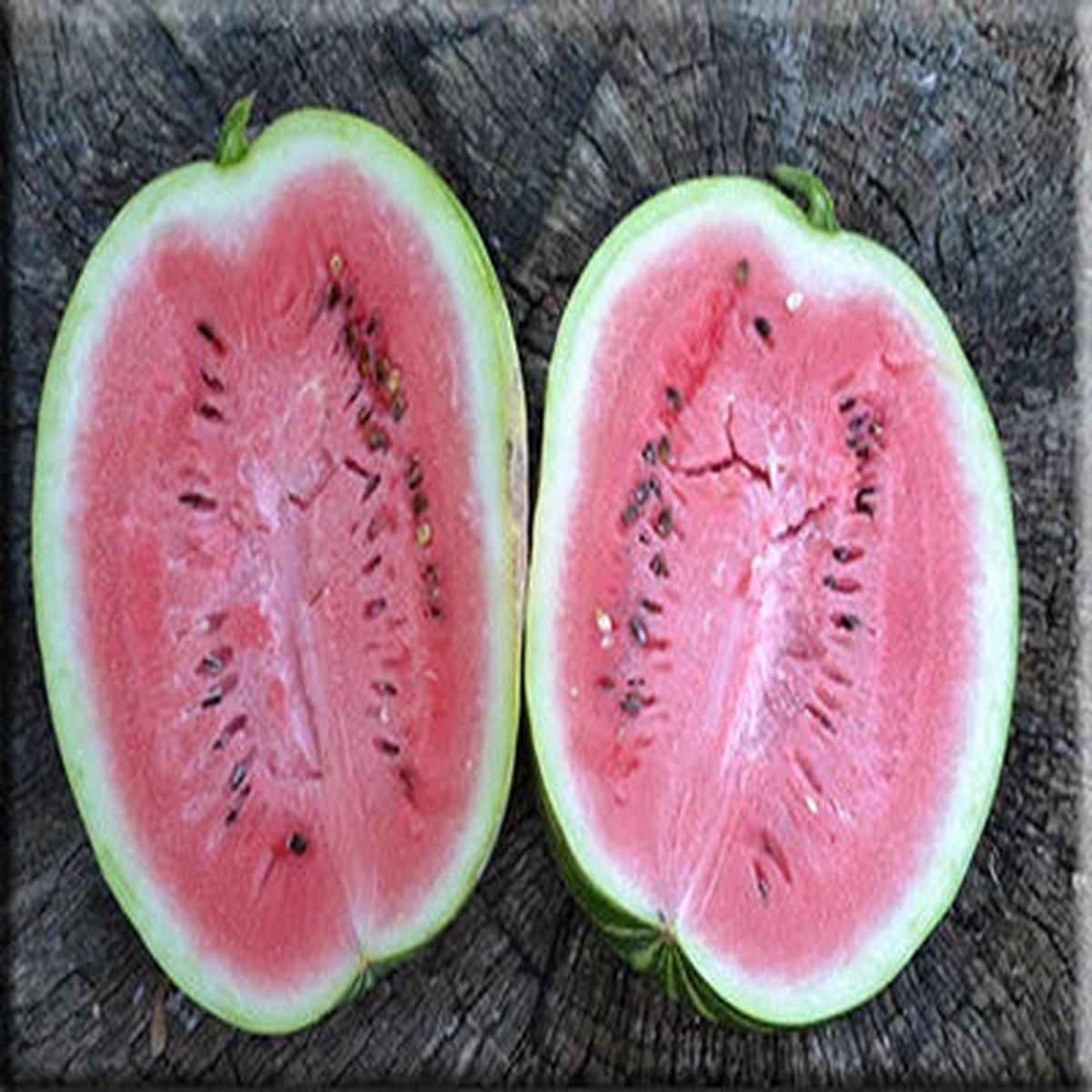 Dakota Rose Watermelon Fruit Seeds for Planting  Sweet Summer Treat for Your Backyard, Heirloom & Non-GMO Seeds