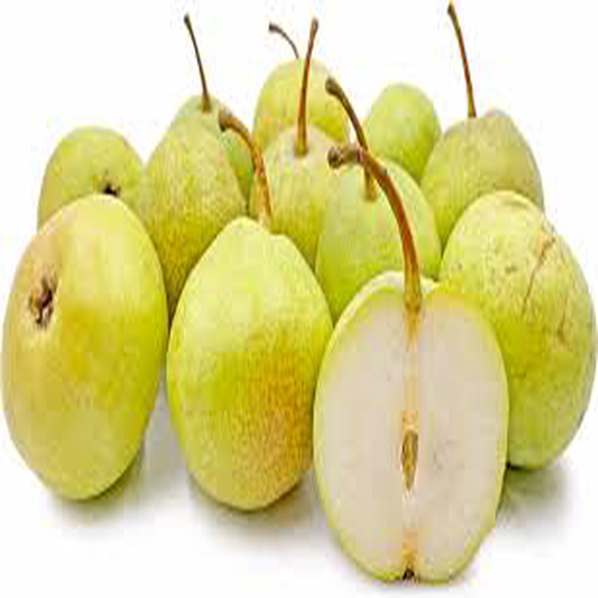 Duchess Pear Fruit Seeds for Planting Heirloom, Non-GMO, High Germination Organic Garden Seeds for Crisp, Juicy Pear Trees