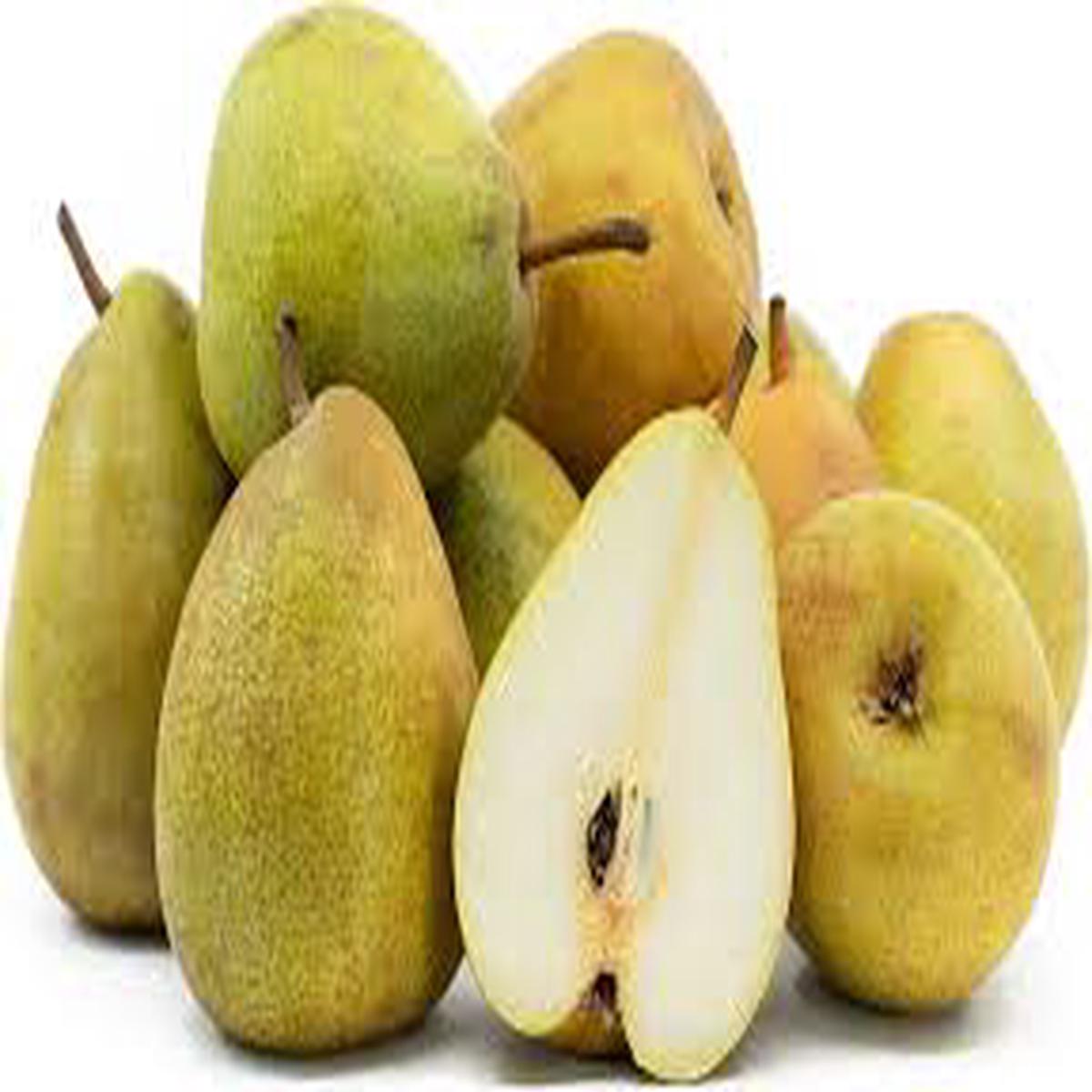 French Butter Pear Fruit Seeds for Planting  Classic Juicy & Sweet Green Pear, Heirloom Seeds