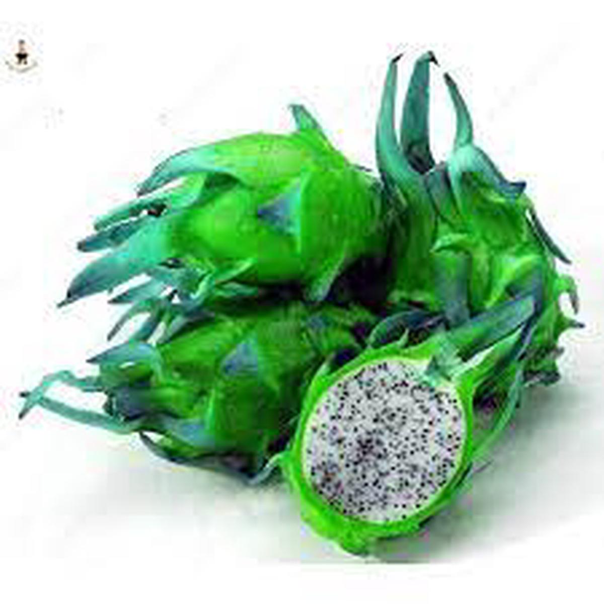 Fresh Mixed Pitaya Fruit Seeds for Planting Easy to Grow, Heirloom, Non-GMO, High Germination Organic Garden Seeds