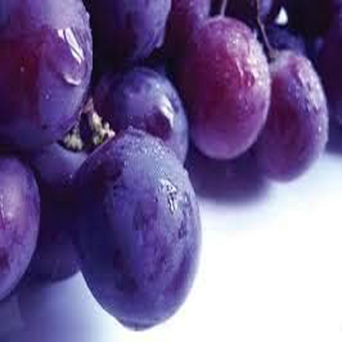 Grape Fruit Seeds for Planting  Violet Variety, Heirloom & Non-GMO Seeds Rich in Vitamin C for Home Gardens