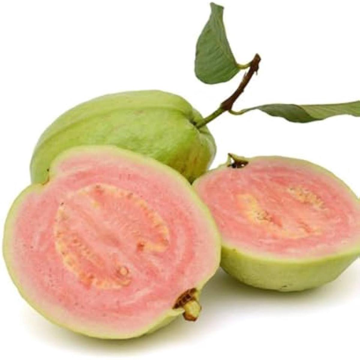 Guava Fruit Seeds for Planting - Tropical Guavas Full of Flavor, Heirloom & Non-GMO Seeds