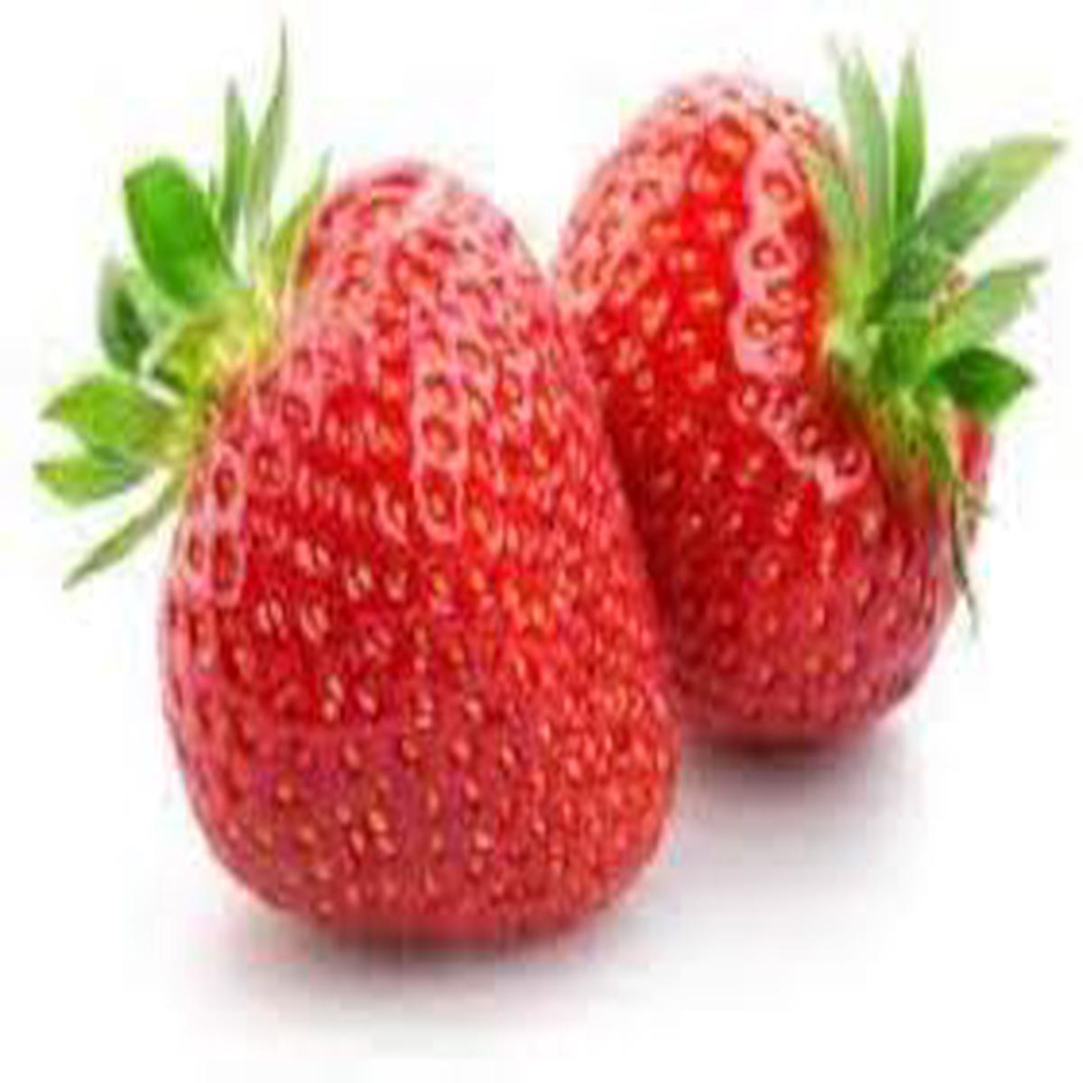 Japanese Hokowase Strawberry Fruit Seeds for Planting Sweet, Early-Season, Heirloom, Non-GMO, High Germination Organic Garden Seeds