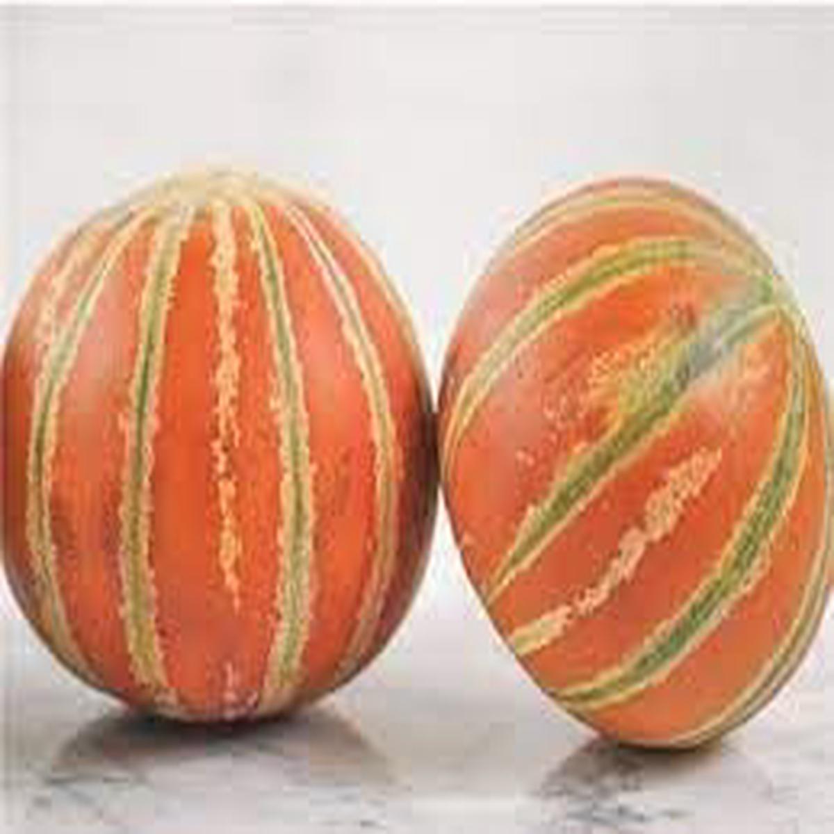 Kajari Melon Fruit Seeds for Planting | Heirloom Non-GMO Organic Seeds for Sweet Indian Melons