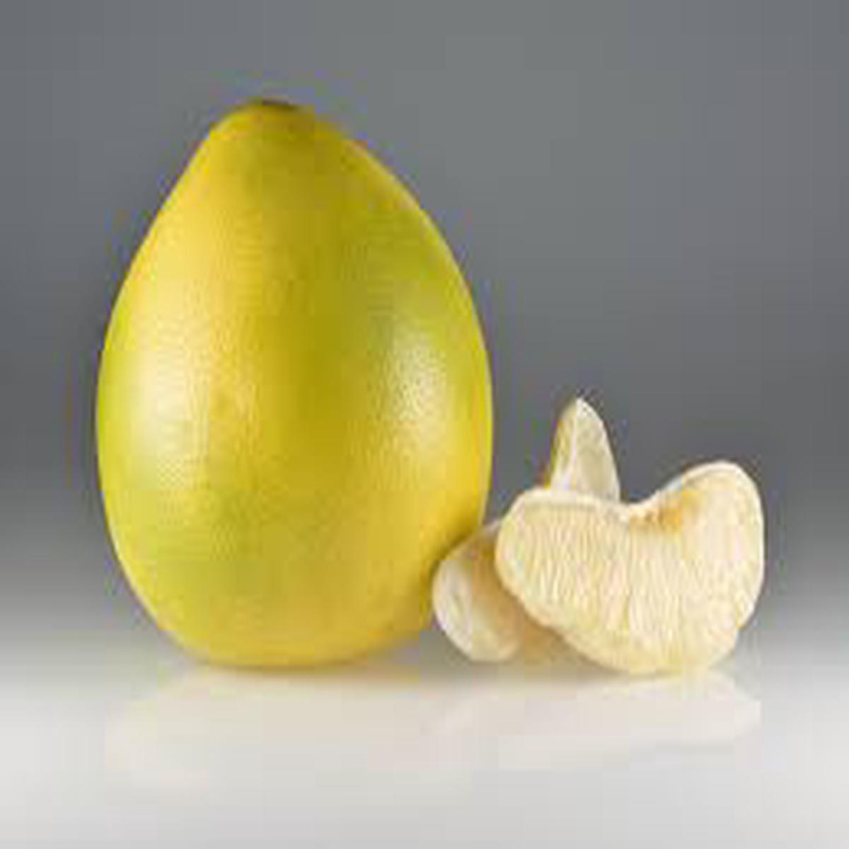 Pomelo or Lemon Yellow Orange Fruit Seeds Rare, Unique Citrus for Home Garden Planting