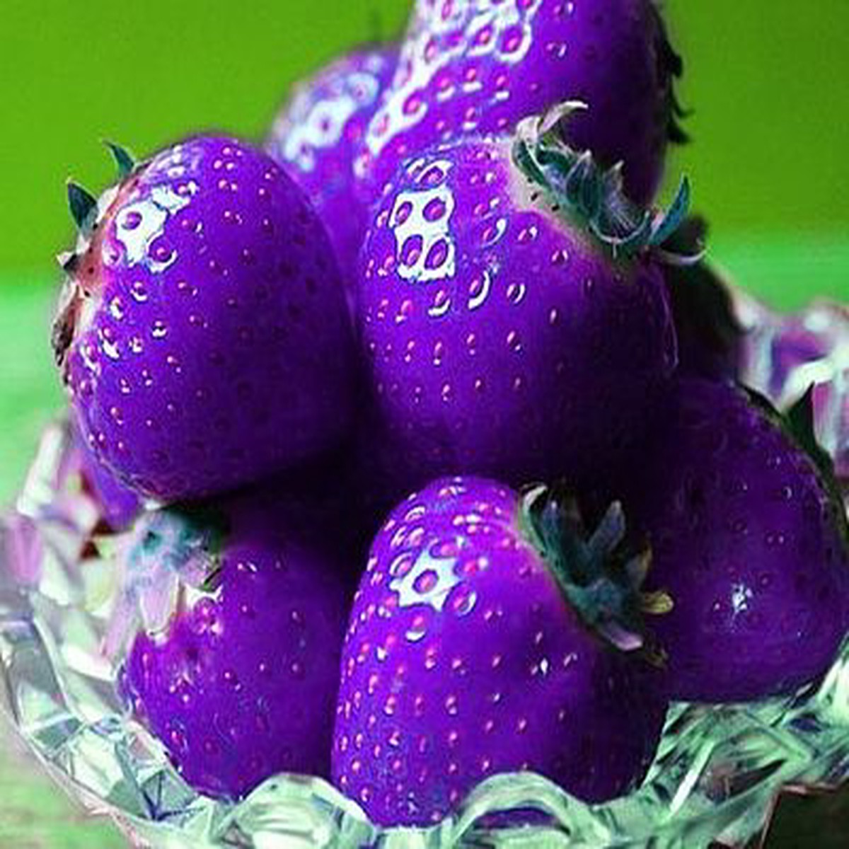 Purple Strawberry Fruit Seeds for Planting  Heirloom Non-GMO High Germination Organic Garden Seeds
