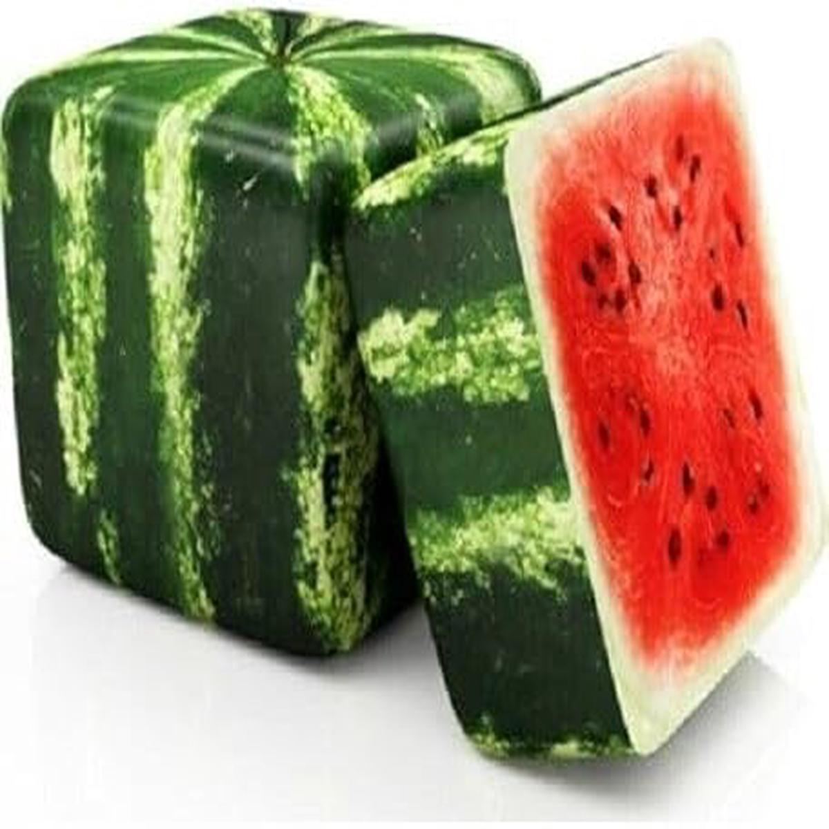 Square Watermelon Fruit Seeds for Planting Heirloom Non-GMO High Germination Organic Garden Seeds