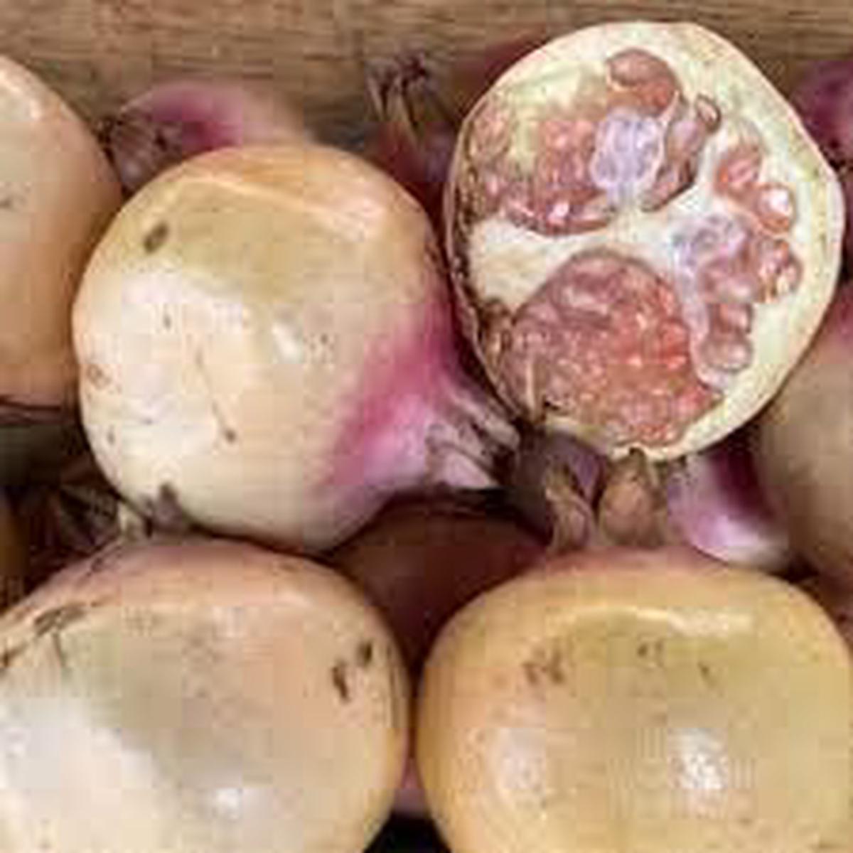 White Pomegranate Fruit Seeds for Planting Grow Sweet, Tangy Pomegranates, Heirloom & Non-GMO Seeds for Home Garden
