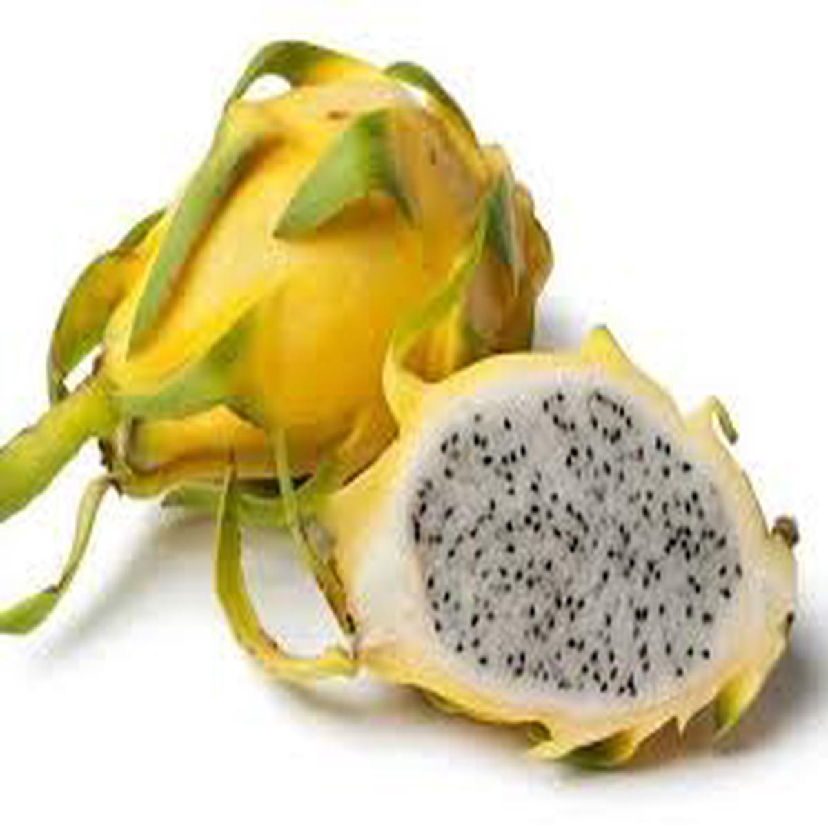 Yellow Tropical Dragon Fruit Seeds  Vibrant & Nutritious, Heirloom & Non-GMO Seeds for Home Garden Planting