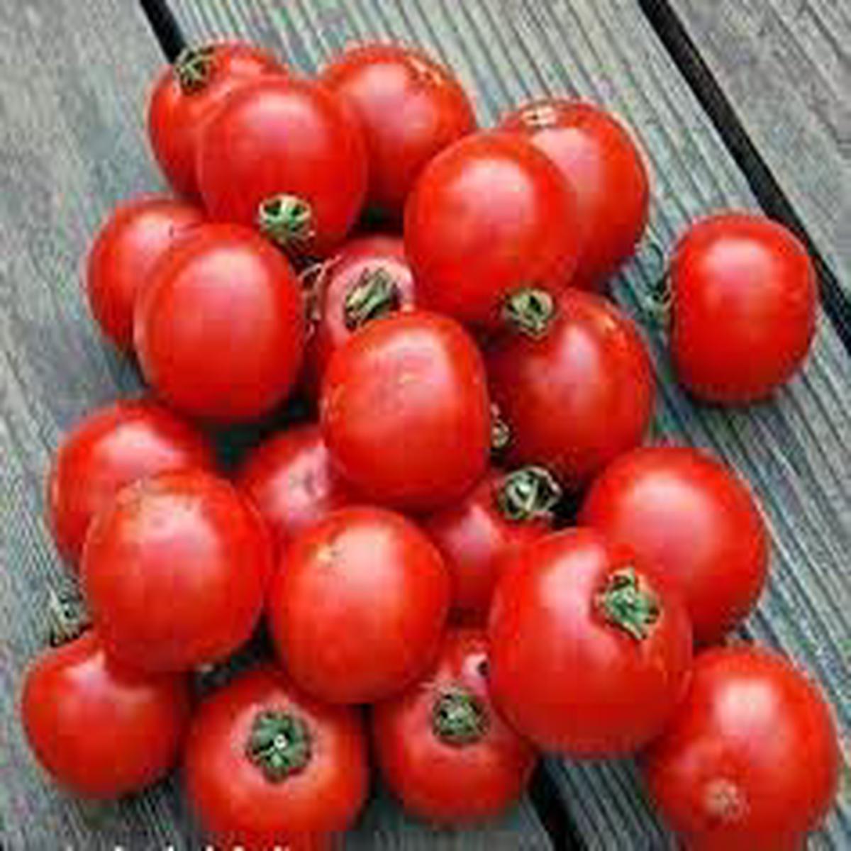 Arctic Plenty Fruit Seeds for Planting  Hardy Cold Climate Non-GMO, Heirloom Organic Garden Seeds with High Germination