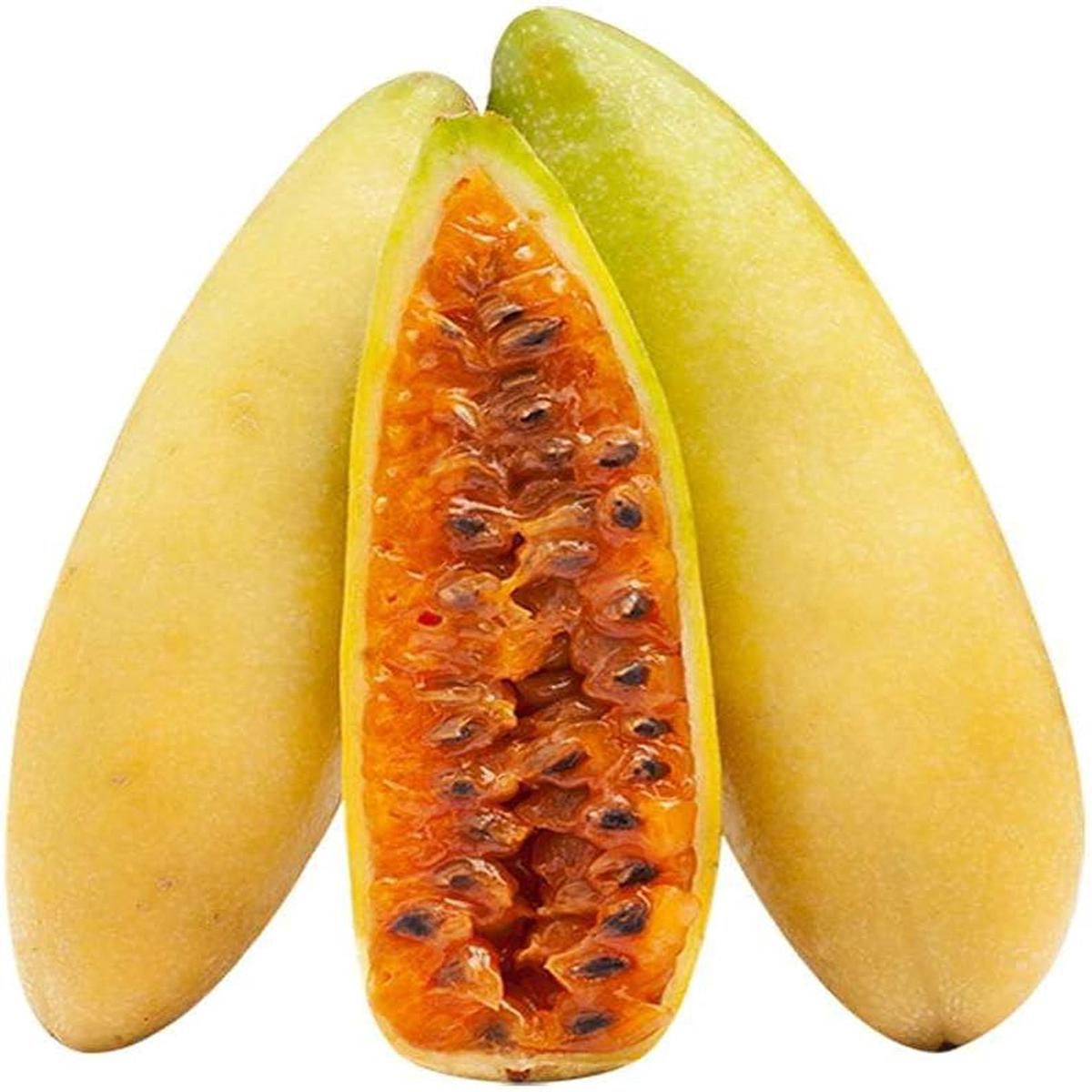 Banana Passion Fruit Seeds for Planting  High-Quality, Non-GMO, Heirloom, Sweet & Tropical Fruits