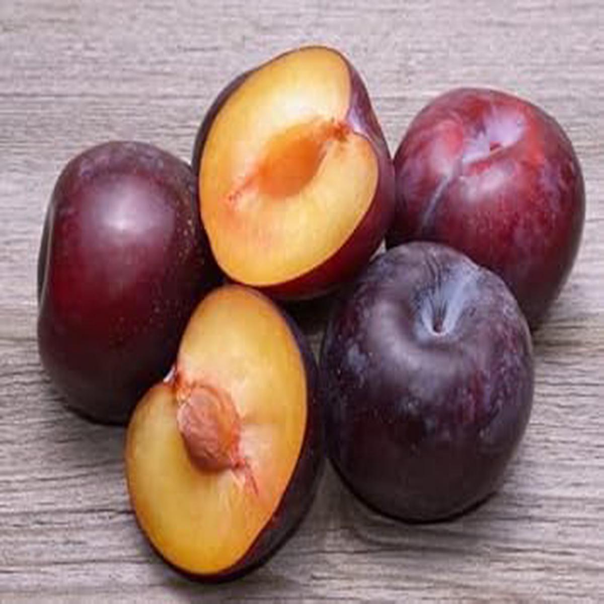 Burgundy Alubukhara (Plum) Fruit Seeds for Planting  Sweet, Tangy, Heirloom, High Germination, Non-GMO Organic Garden Seeds