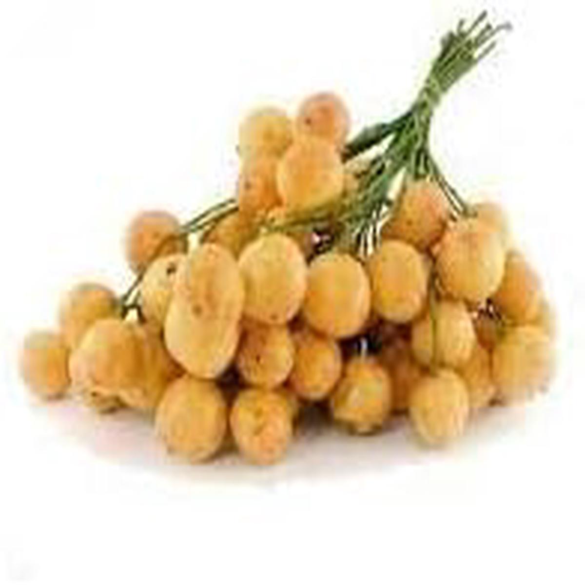 Burmese Grape Fruit Seeds for Planting  Heirloom, Non-GMO, High Germination Organic Garden Seeds for Unique, Exotic Fruit Trees
