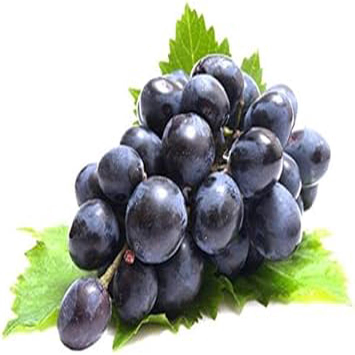 Fresh Dark Violet Grape Fruit Seeds for Planting  Heirloom, Non-GMO, High Germination Organic Garden Seeds for Home Garden