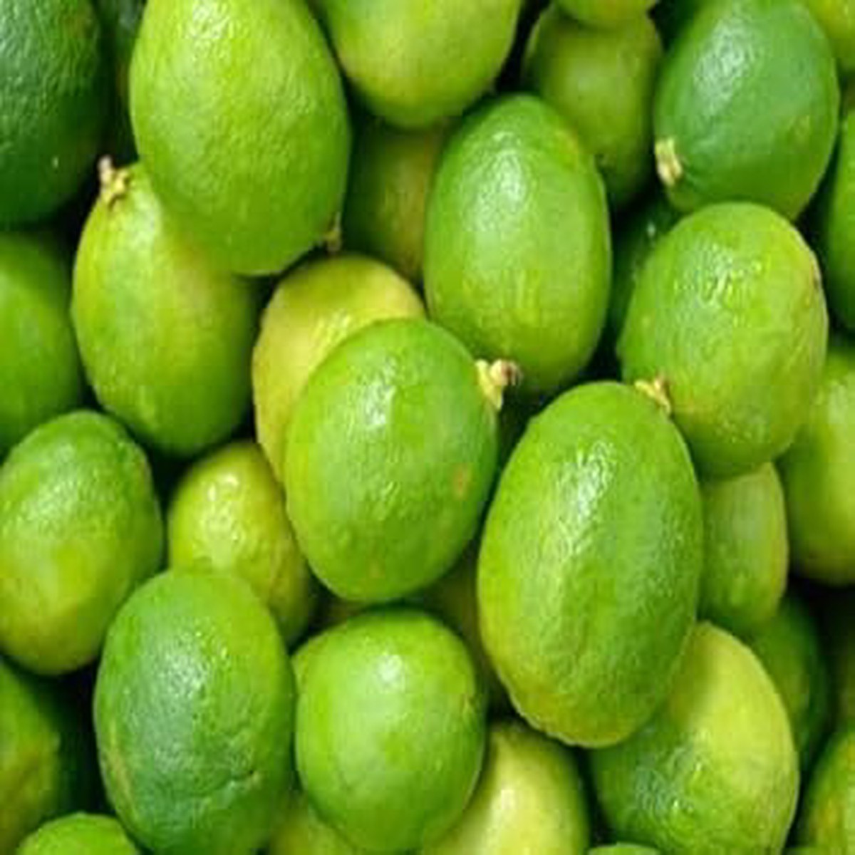 Green Lemon Fruit Seeds for Planting  Sweet & Juicy Variety, Heirloom, Non-GMO, High Germination Organic Garden Seeds for Home Gardens