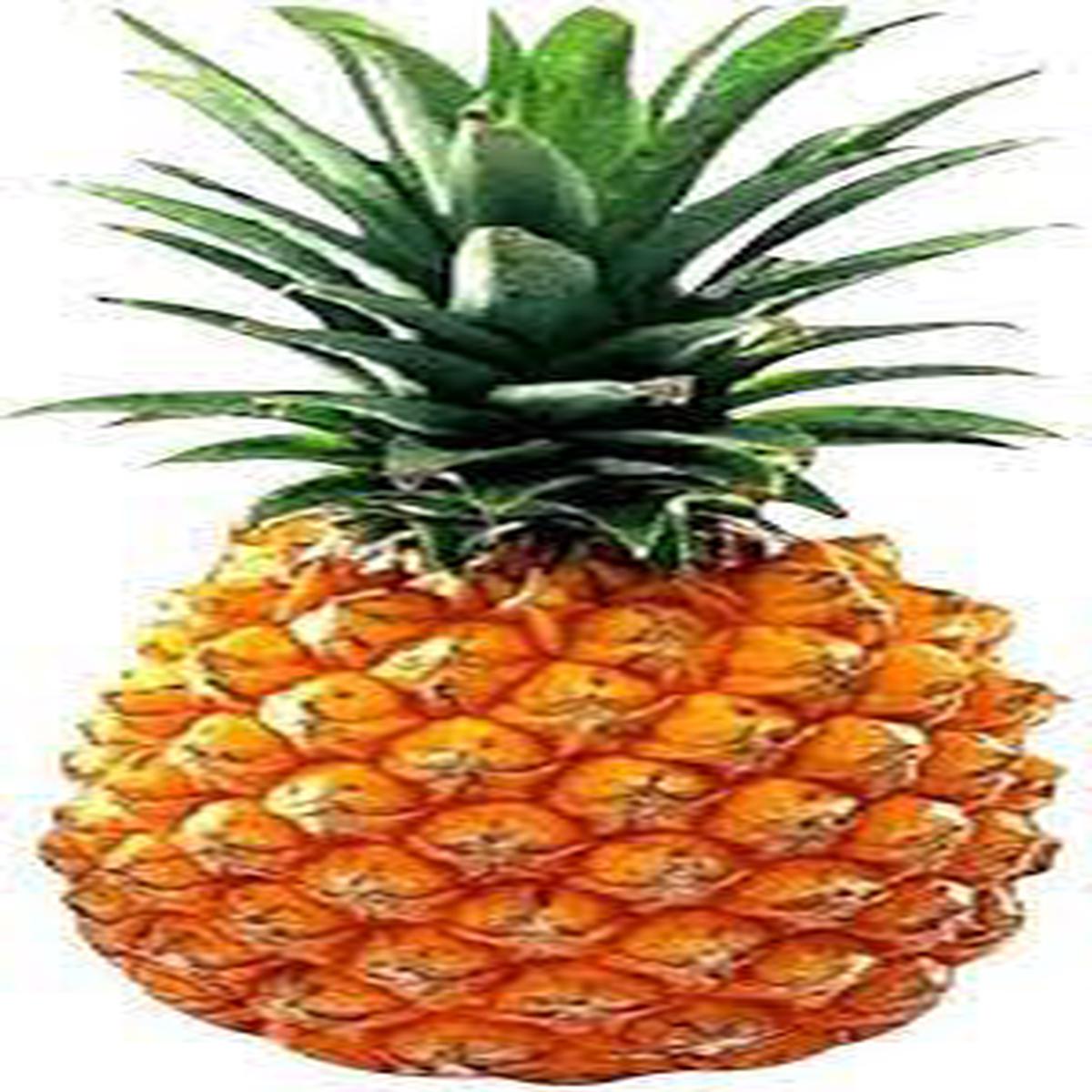 Orange Pineapple Fruit Seeds for Planting  Heirloom & GMO Free Seeds for Home Garden