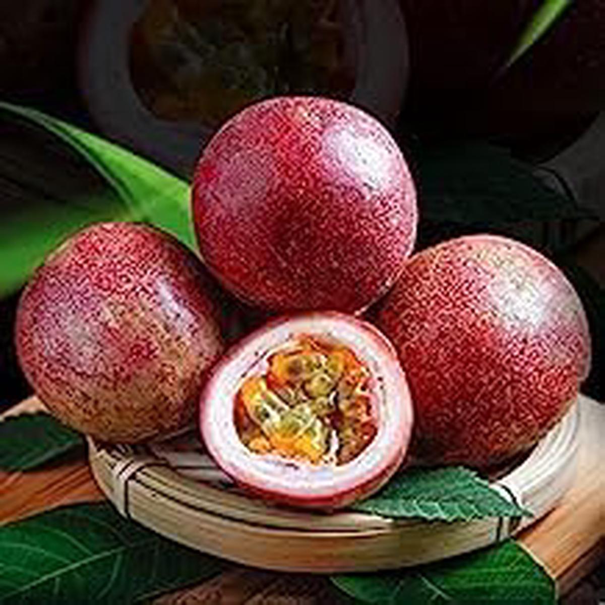 Passion Fruit Seeds for Planting  Grow Exotic, Sweet Fruits at Home, Heirloom & Non-GMO, High Germination