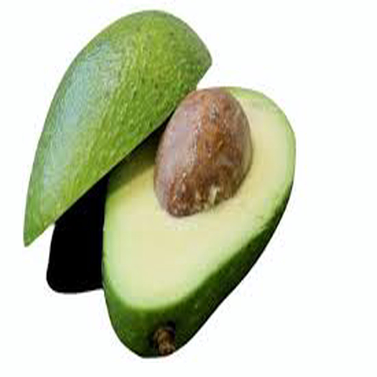 Persea americana Avocado (Butter Fruit) Seeds for Planting Heirloom Seeds for Unique Flavor Home Garden