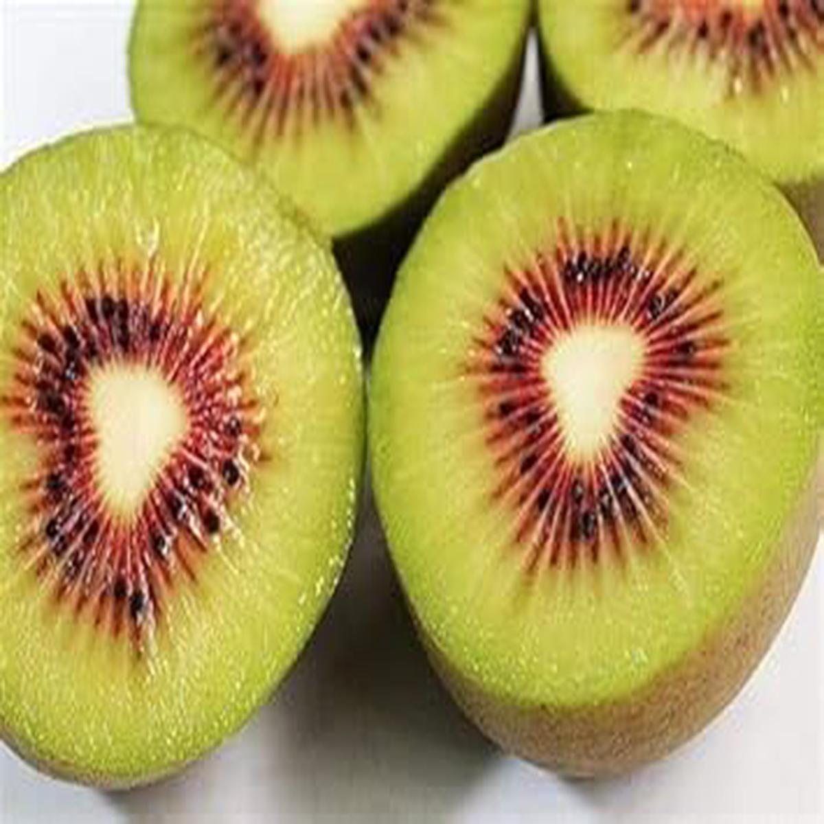 Pomelo Fruit Seeds for Planting Large, Sweet Citrus Fruits, Heirloom & Non-GMO, High Germination