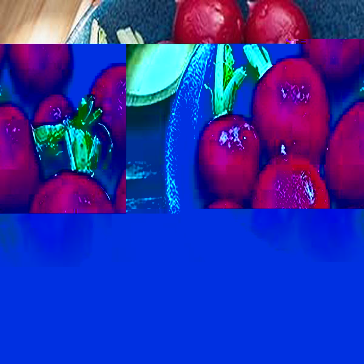 Radish Red Fruit & Vegetable Seeds for Planting  Heirloom, Non-GMO, High Germination Organic Garden Seeds