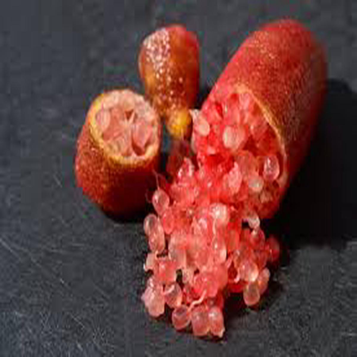Rainforest Pearl Finger Lime Seeds for Planting  Heirloom, Non-GMO, High Germination Organic Garden Seeds for Unique, Tangy Citrus Fruits