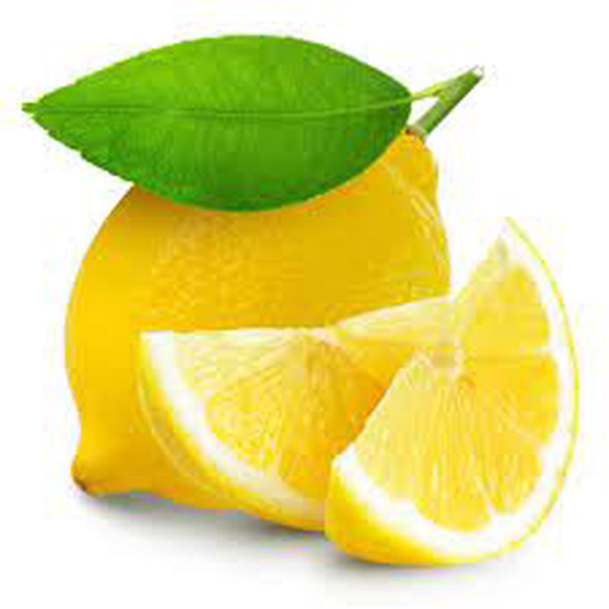 Seedless or Low-Seed Lemon Fruit Seeds for Planting  High-Quality Variety, Heirloom & Non-GMO Seeds for Home Garden