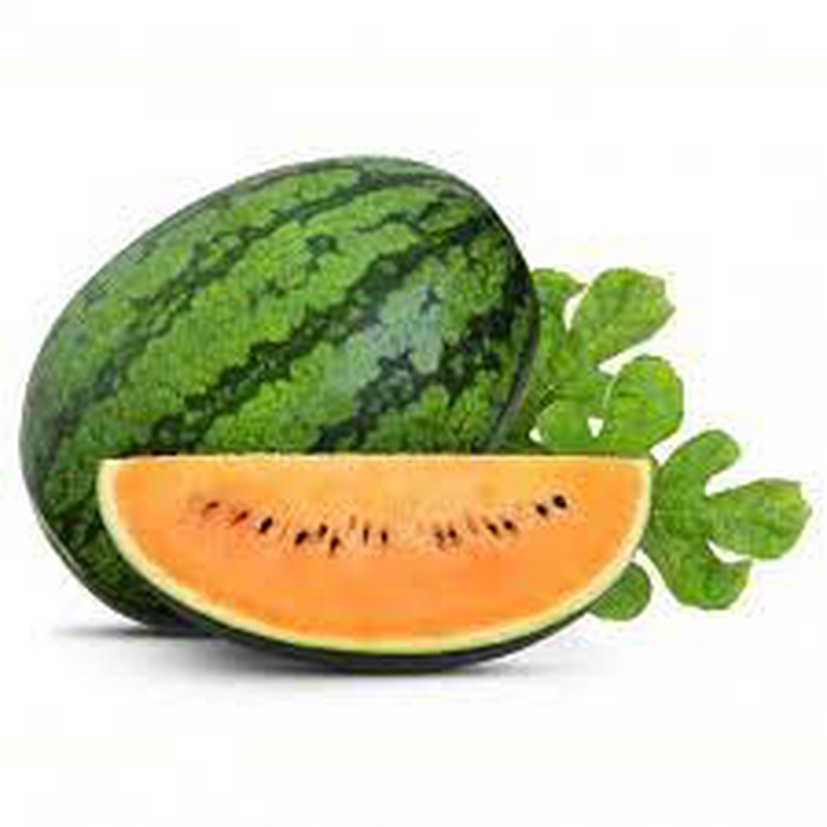 Tendersweet Orange Watermelon Fruit Seeds for Planting  Heirloom, Non-GMO, High Germination Organic Garden Seeds