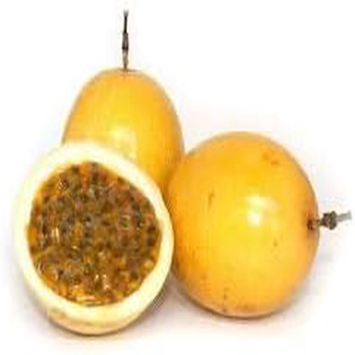 Yellow Passiflora Incarnata Fruit Seeds  Heirloom, Non-GMO Seeds for Planting in Home Gardens