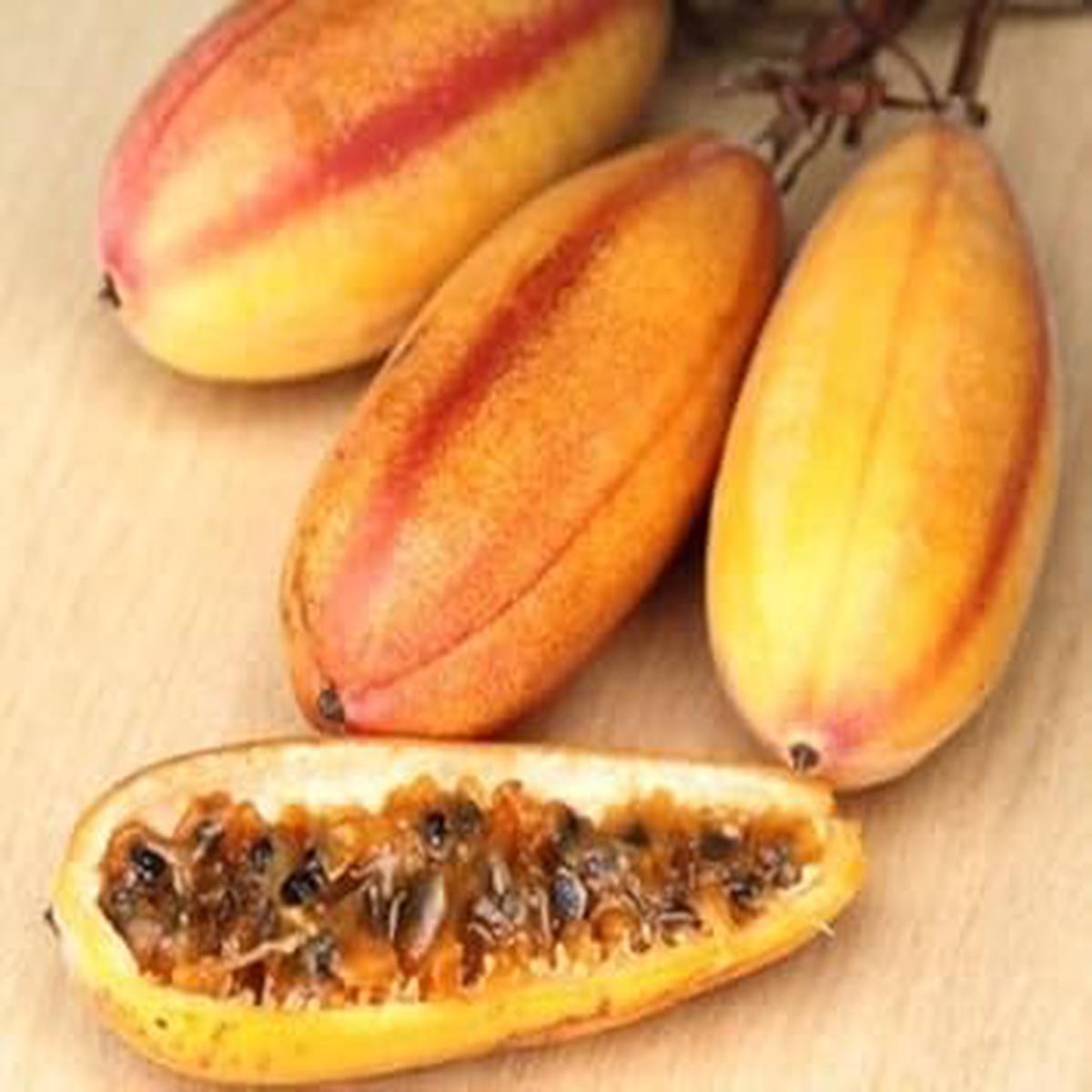 Yellow Passiflora Mollissima Fruit Seeds for Planting  Non-GMO Heirloom Passionfruit Seeds