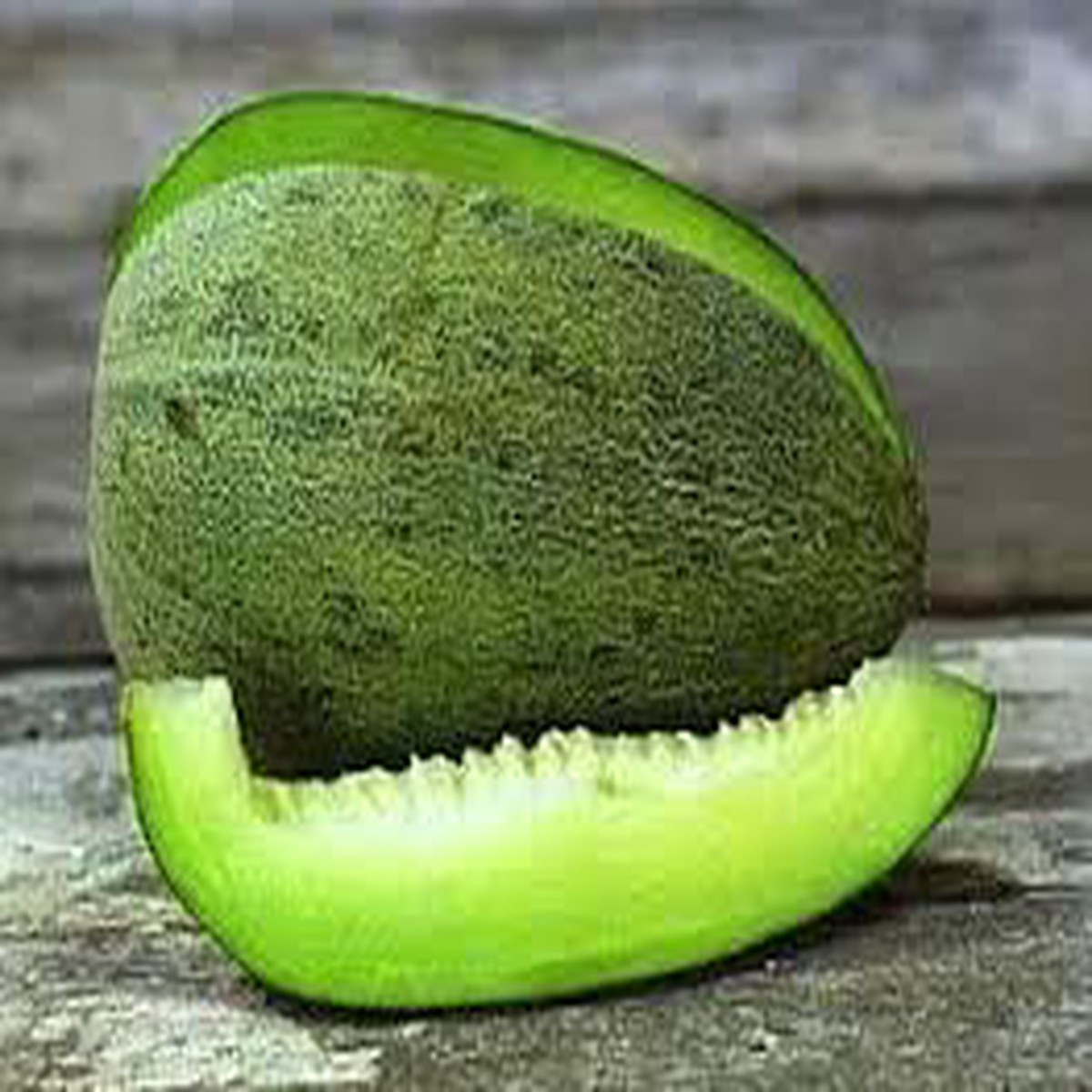 Bateekh Samara Melon Seeds Sweet & Refreshing Melon Variety