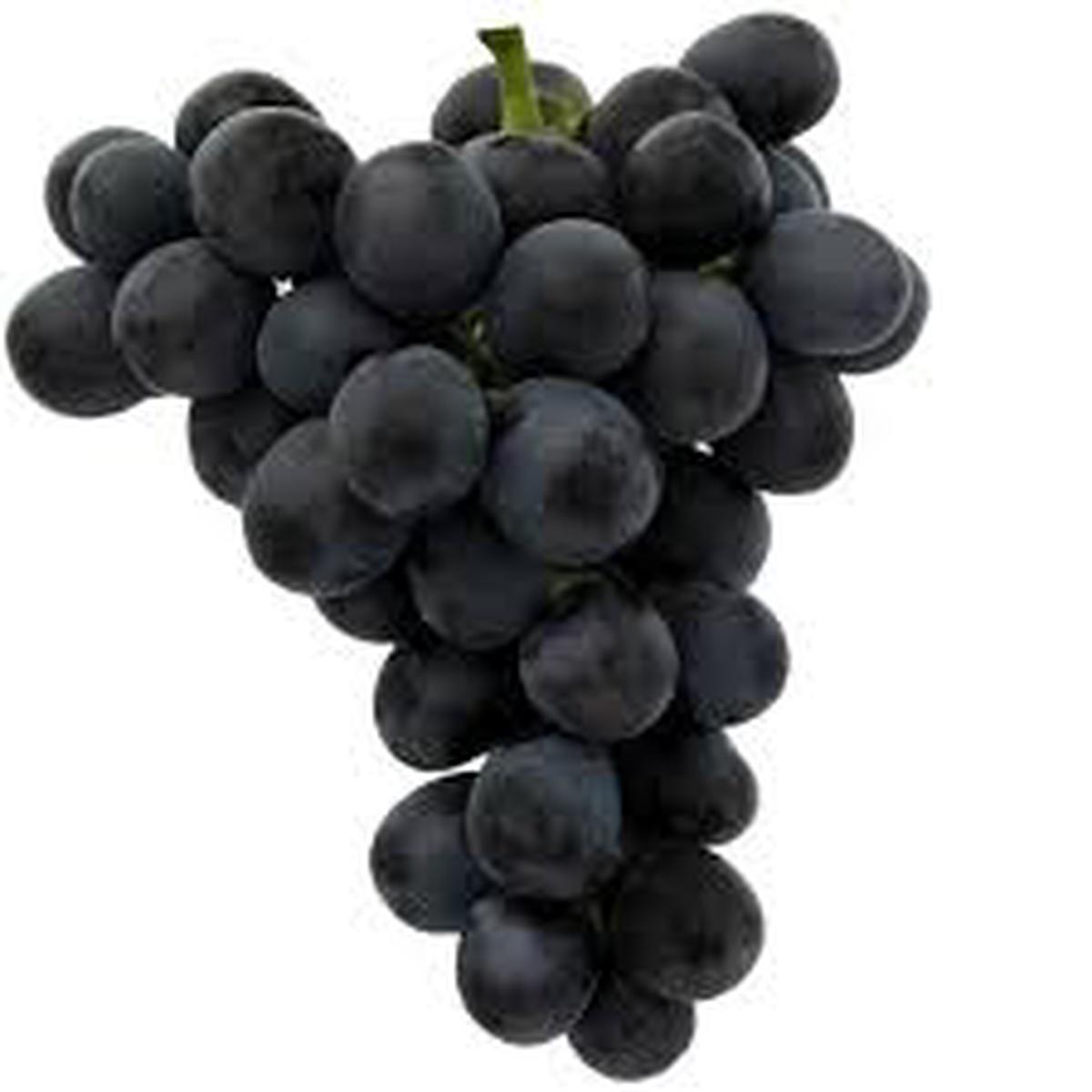 Black Grape Fruit Seeds for Planting Abundant Juicy Harvests, Heirloom & Non-GMO, High Germination Seeds