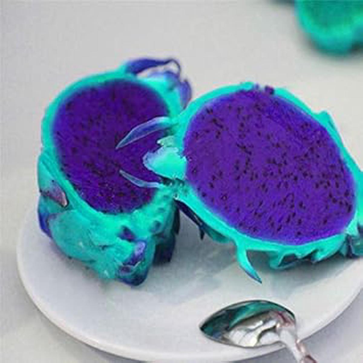 Blue Pitaya Fruit Seeds for Planting  Easy to Grow, Heirloom, Non-GMO, High Germination Organic Garden Seeds
