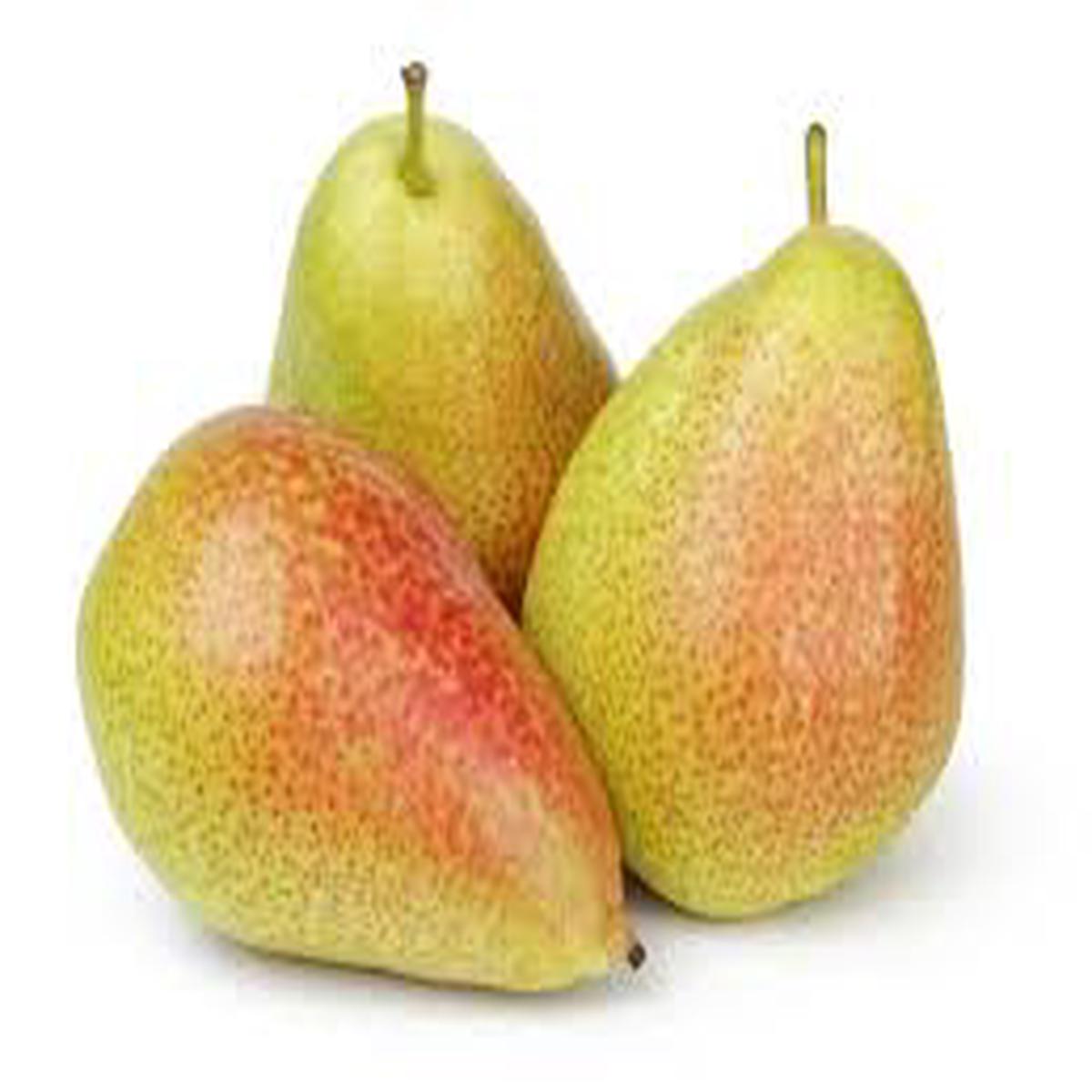 Forelle Pear Fruit Seeds  Heirloom & Non-GMO Seeds for Growing Unique Pears in Your Home Garden