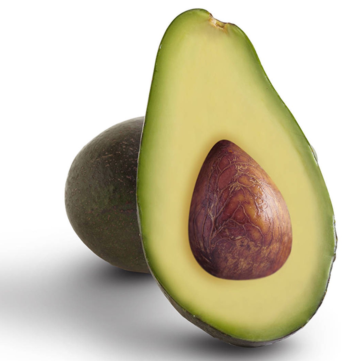 Fuerte Avocado Fruit Seeds for Planting Heirloom, Non-GMO, High Germination Organic Seeds for Creamy Tropical Fruits