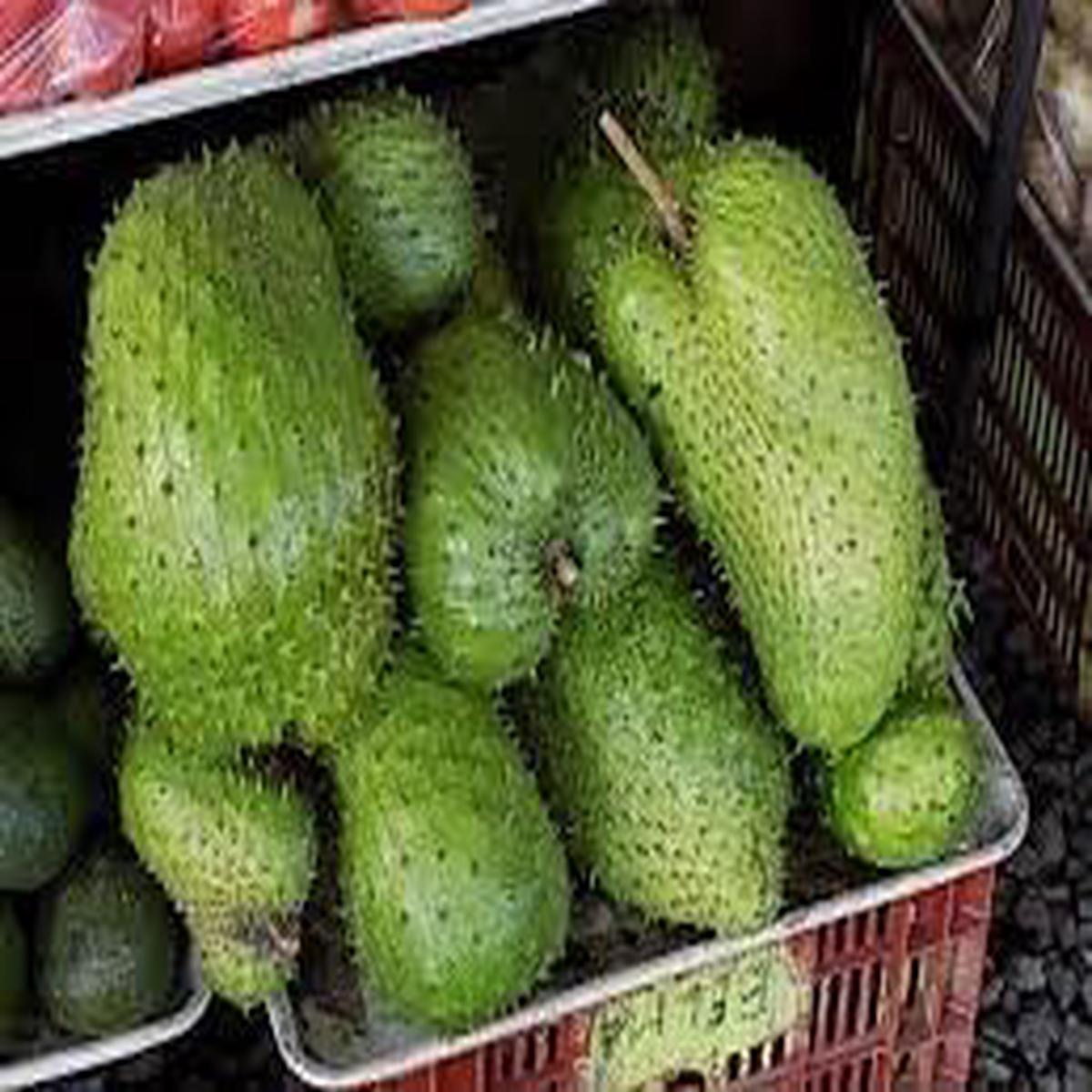 Giant Soursop Fruit Seeds Organic, Non-GMO, Heirloom, High-Yielding Tropical Seeds for Planting