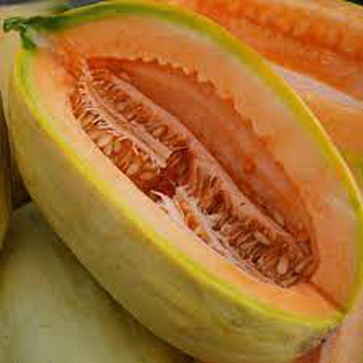 Gold Banana Melon Fruit Seeds for Planting  Unique Melon Variety, Heirloom & Non-GMO Seeds for Home Garden