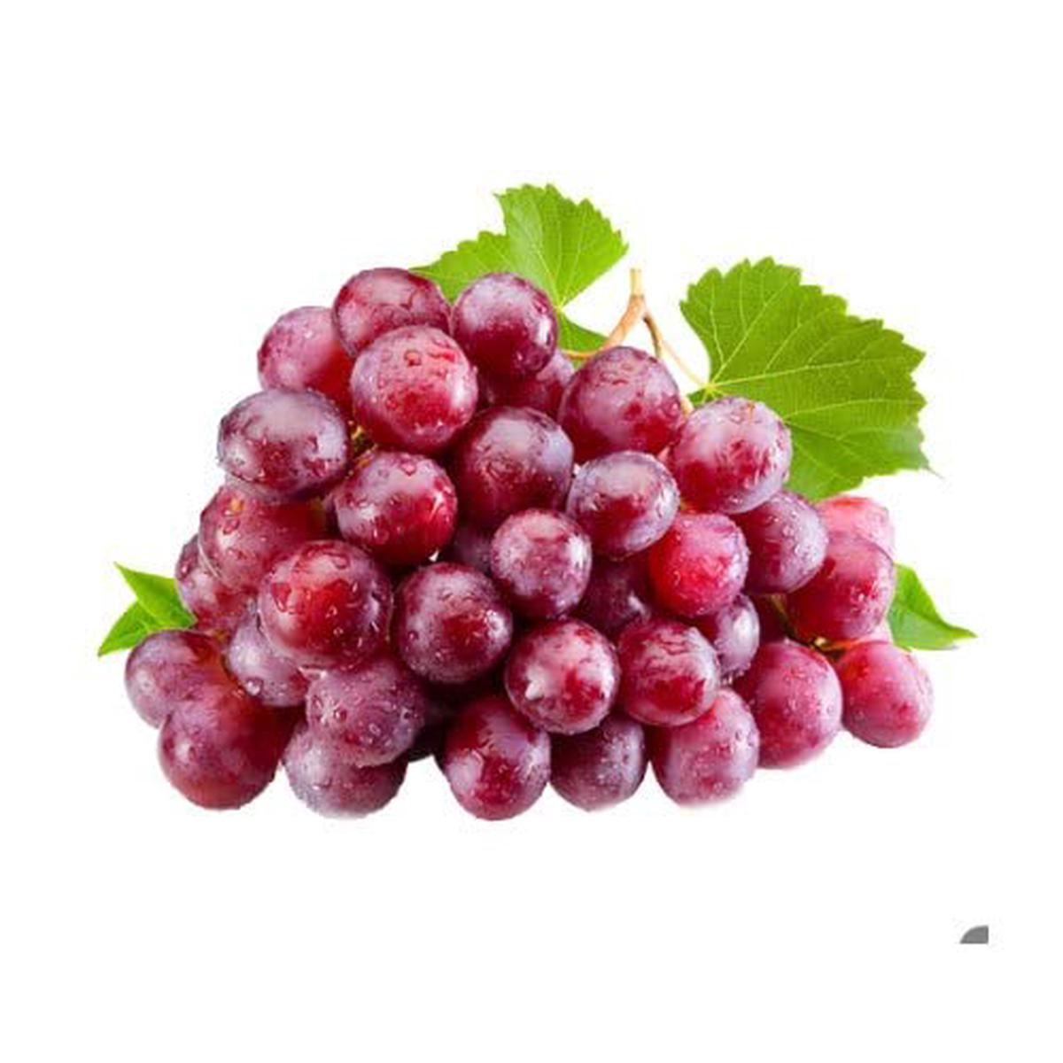 Grape Fruit Seeds for Planting  Grow Various Grape Varieties, Heirloom & Non-GMO, High Germination Seeds