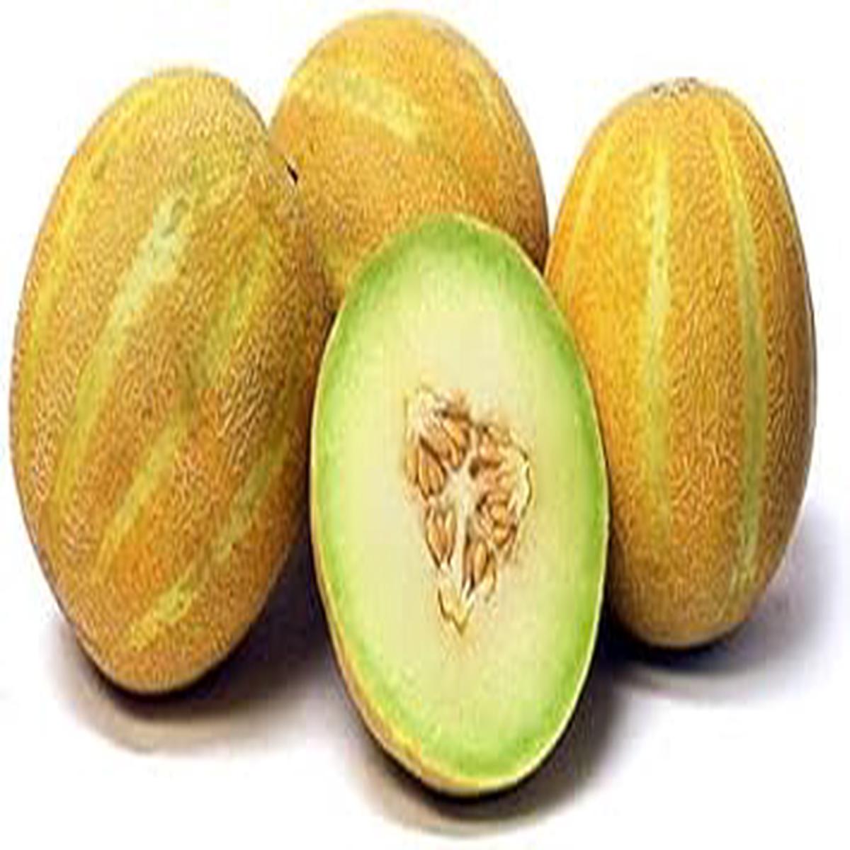 Lemon Drop Melon Fruit Seeds for Planting  Sweet, Tangy Melons, Heirloom, High Germination, Non-GMO Organic Garden Seeds