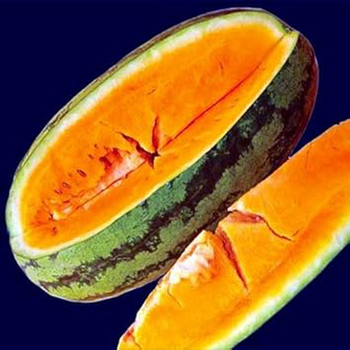 Orange Watermelon Fruit Seeds for Planting Sweet, Refreshing Watermelons, Heirloom & Non-GMO Seeds