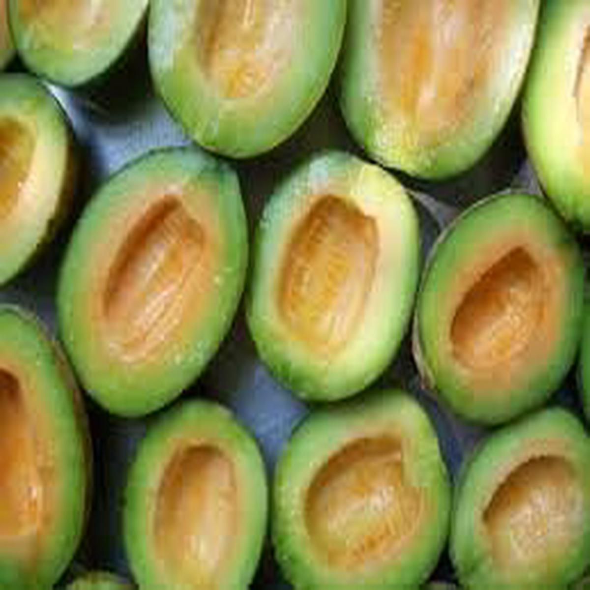 Organic Rocky Ford Green Flesh Melon Seeds for Planting  Heirloom Non-GMO High Germination Garden Seeds