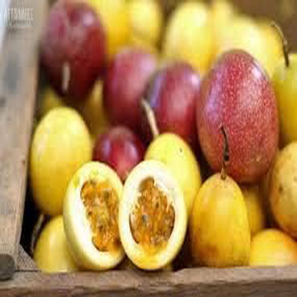 Passiflora Fruit Seeds for Planting Mixed Colour Varieties, Heirloom & Non-GMO Seeds for Tropical Gardens