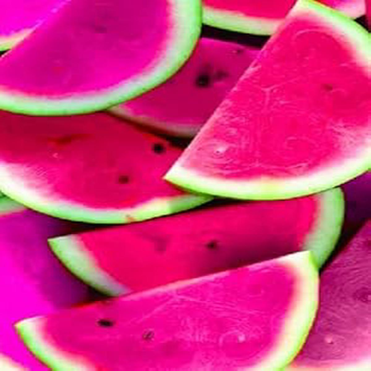 Premium Pink Watermelon Fruit Seeds for Planting  Garden or Indoor Growing, Heirloom & Non-GMO Seeds