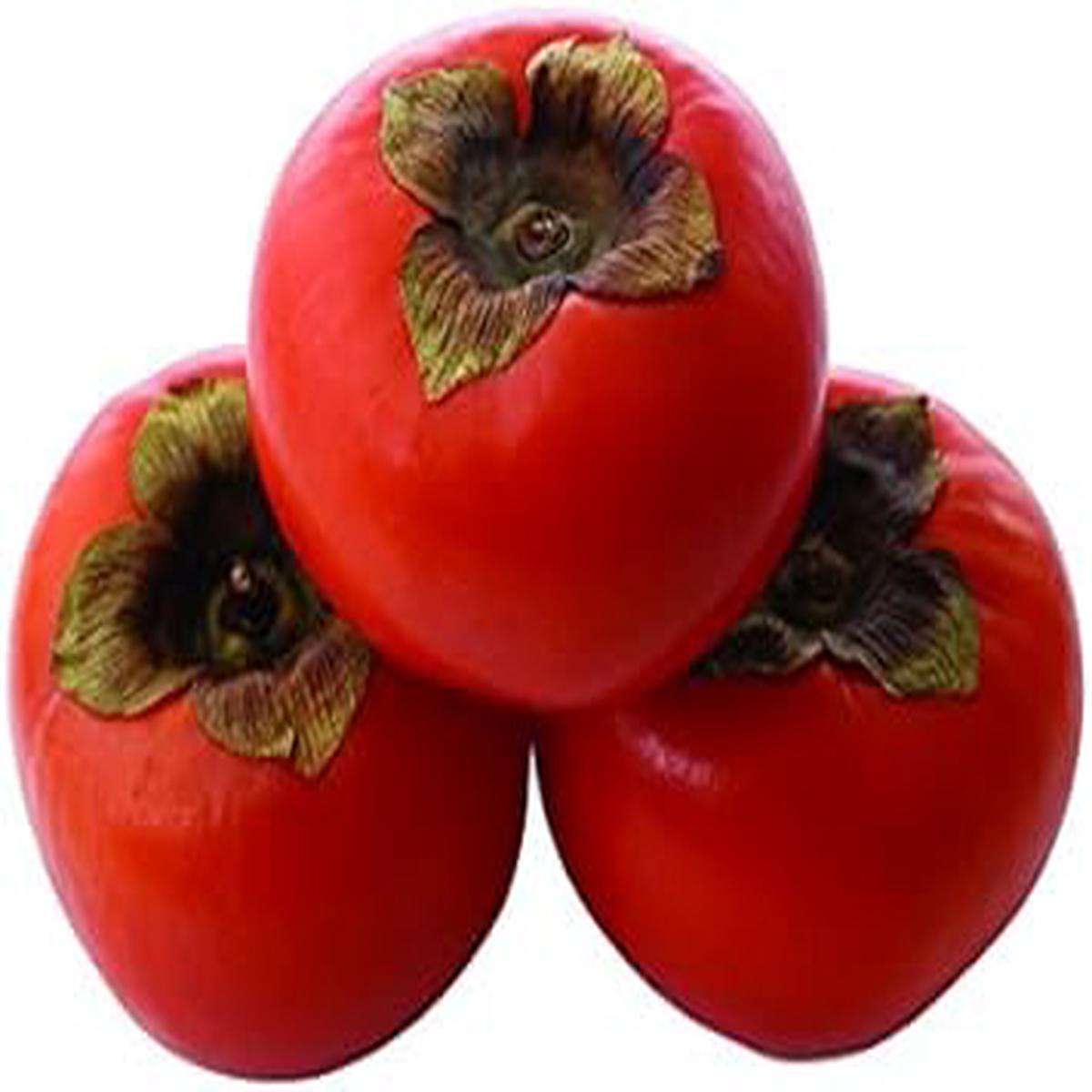 Red Diospyros (Persimmon) Fruit Seeds for Planting  Grow Sweet, Soft Persimmons at Home, Heirloom & Non-GMO Seeds