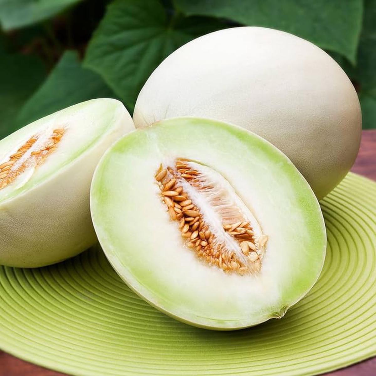 White Cantaloupe Melon Seeds for Planting  Premium Quality Heirloom & Non-GMO Seeds for Sweet Juicy Melons