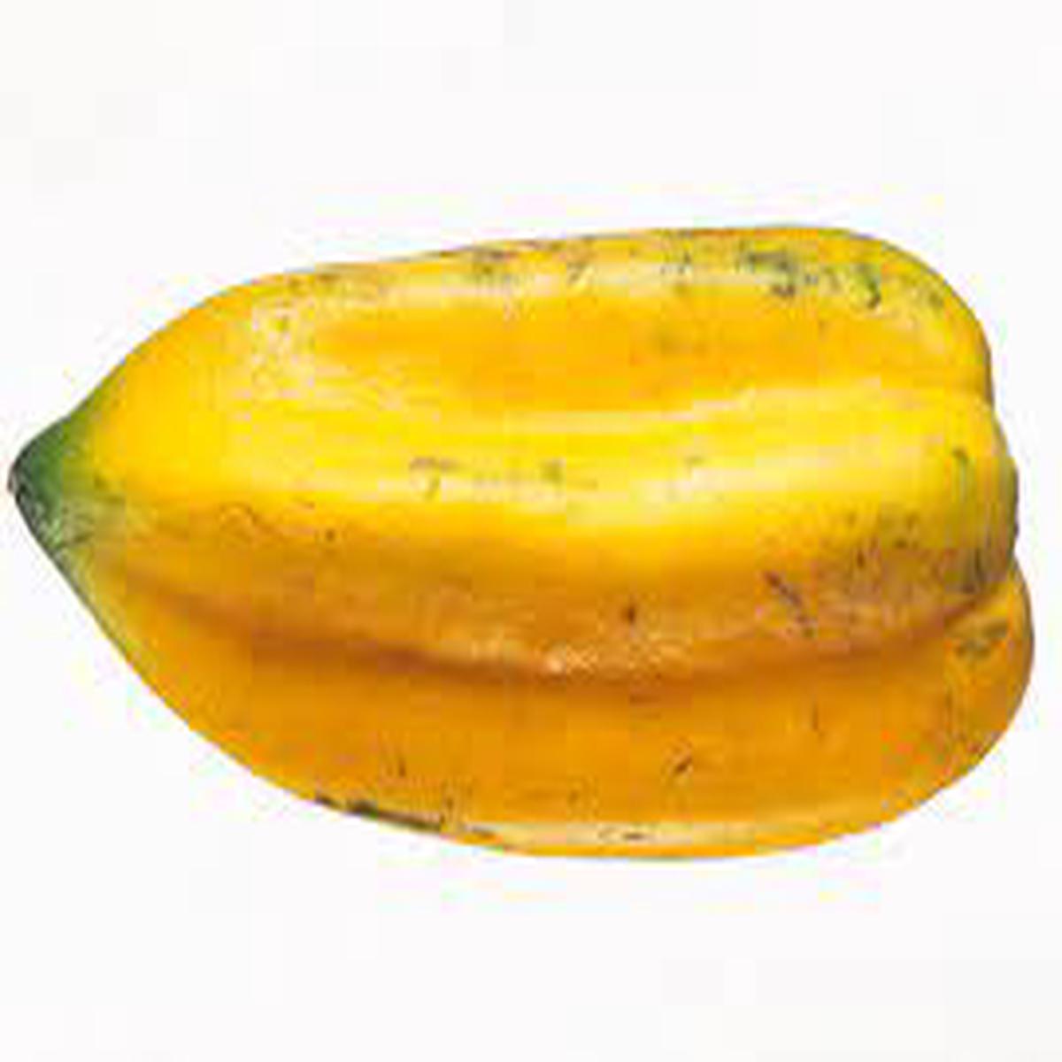 Babaco Papaya (Vasconcellea heilbornii) Fruit Tree Seeds for Planting Heirloom Non-GMO Organic Garden Seeds